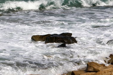 İsrail 'in kuzeyindeki Akdeniz kıyısında. 