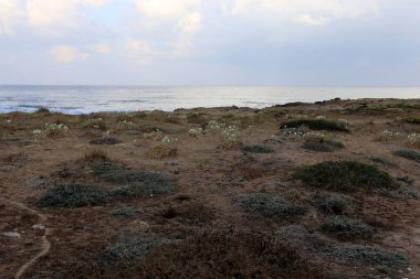 İsrail 'in kuzeyindeki Akdeniz kıyısında. 