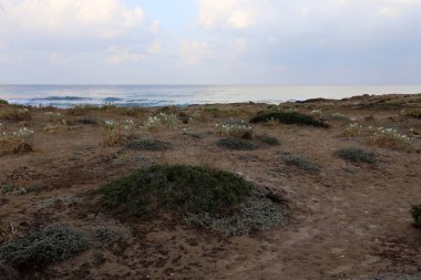 İsrail 'in kuzeyindeki Akdeniz kıyısında. 