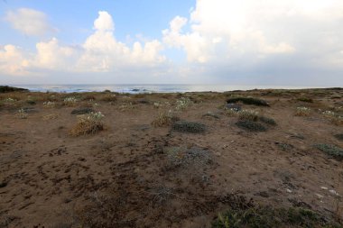 İsrail 'in kuzeyindeki Akdeniz kıyısında. 