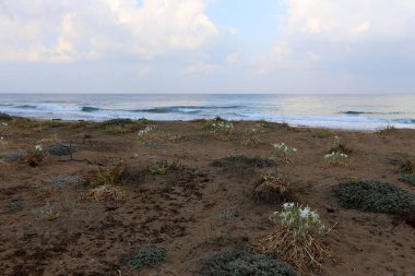 İsrail 'in kuzeyindeki Akdeniz kıyısında. 