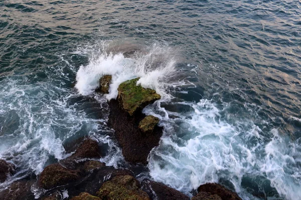 İsrail 'in kuzeyindeki Akdeniz kıyısında. 