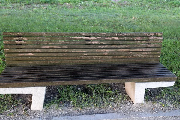 一个长凳站在以色列的一个城市公园里 — 图库照片