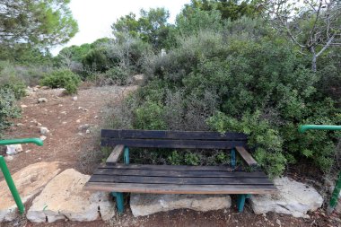 İsrail şehir parkında bir Bank standları 