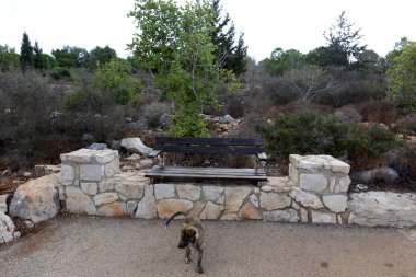 İsrail şehir parkında bir Bank standları 