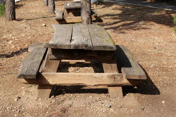 Banc Dresse Dans Parc Urbain Israël — Photo