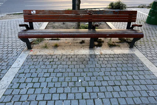一个长凳站在以色列的一个城市公园里 — 图库照片