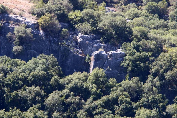 Руины Древней Крепости Крестоносцев Монфор Севере Израиля — стоковое фото