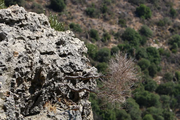 Rovine Dell Antica Fortezza Dei Crociati Montfort Nel Nord Israele — Foto Stock