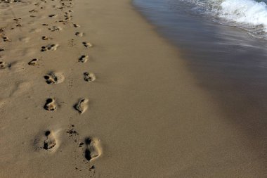 Kumdaki Kuzey İsrail ' Akdeniz'in kıyısında 