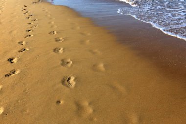 Kumdaki Kuzey İsrail ' Akdeniz'in kıyısında 
