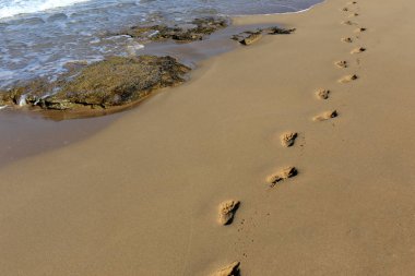 Kumdaki Kuzey İsrail ' Akdeniz'in kıyısında 