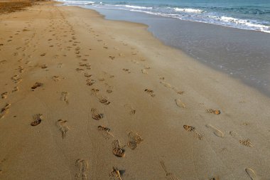 Kumdaki Kuzey İsrail ' Akdeniz'in kıyısında 