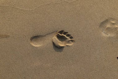 Kumdaki Kuzey İsrail ' Akdeniz'in kıyısında 