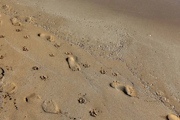 Fotspår Sanden Stranden Medelhavet Norra Israel — Stockfoto