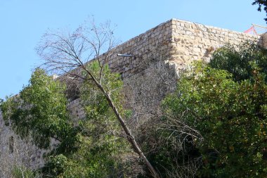 Yehiam eski kale İsrail kuzeyde XIII yüzyılda Haçlılar tarafından inşa edildi 