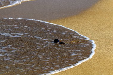 Akdeniz kıyısında kum plajında gözlük yalan 