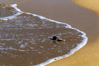 Akdeniz kıyısında kum plajında gözlük yalan 