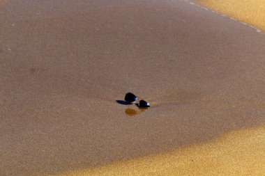 Akdeniz kıyısında kum plajında gözlük yalan 