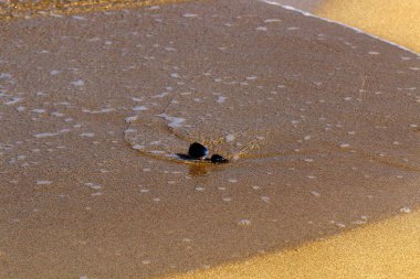 Akdeniz kıyısında kum plajında gözlük yalan 