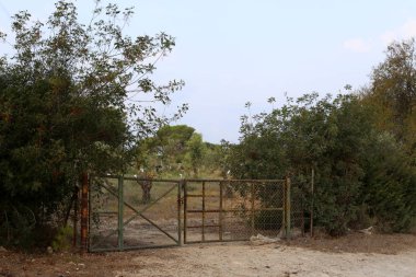 açık bir parkta bir çit 