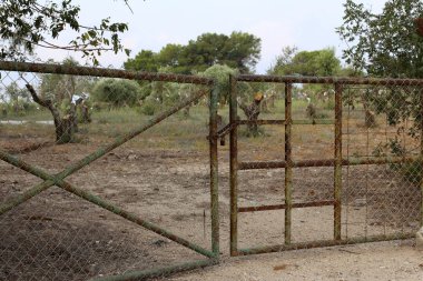 açık bir parkta bir çit 