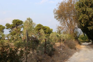 açık bir parkta bir çit 