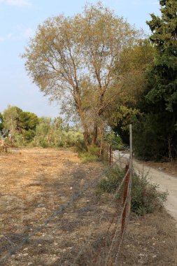 açık bir parkta bir çit 