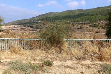 açık bir parkta bir çit 