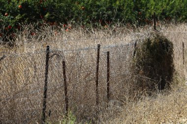 açık bir parkta bir çit 