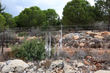 açık bir parkta bir çit 