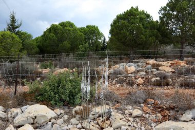 açık bir parkta bir çit 