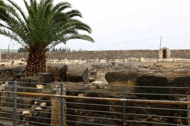 açık bir parkta bir çit 