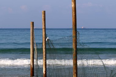 denizin kenarında açık bir parkta çit 