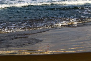 Akdeniz Kuzey İsrail'in kumlu sahili 