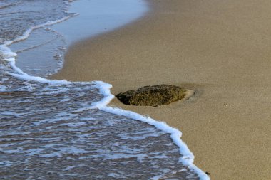 Akdeniz Kuzey İsrail'in kumlu sahili 