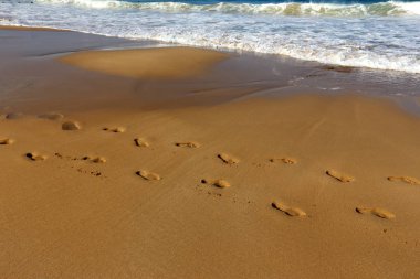 Akdeniz Kuzey İsrail'in kumlu sahili 