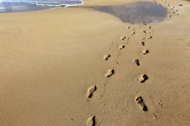 Akdeniz Kuzey İsrail'in kumlu sahili 