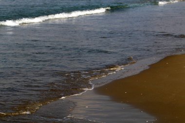 Akdeniz Kuzey İsrail'in kumlu sahili 