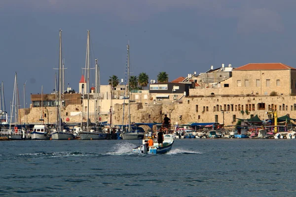 Old City - Acre kale Akdeniz kıyısında 