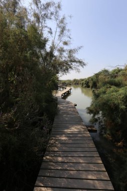 Doğa göllerde Tel Apek İsrail kuzeyde saklıdır. 