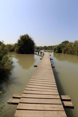 Doğa göllerde Tel Apek İsrail kuzeyde saklıdır. 