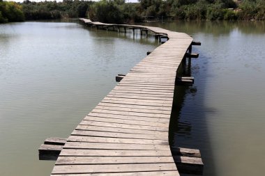 Doğa göllerde Tel Apek İsrail kuzeyde saklıdır. 