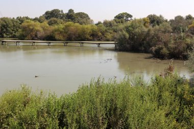 Doğa göllerde Tel Apek İsrail kuzeyde saklıdır. 