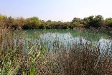 Doğa göllerde Tel Apek İsrail kuzeyde saklıdır. 