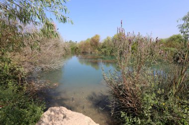 Doğa göllerde Tel Apek İsrail kuzeyde saklıdır. 