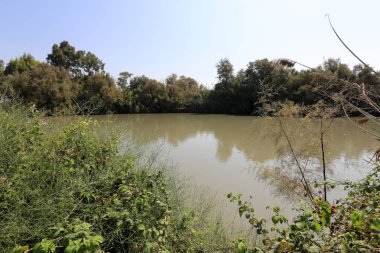 Doğa göllerde Tel Apek İsrail kuzeyde saklıdır. 