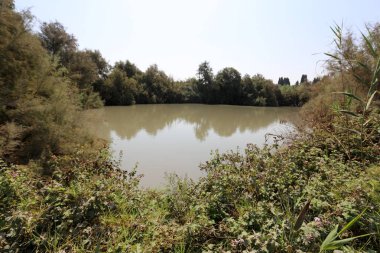 Doğa göllerde Tel Apek İsrail kuzeyde saklıdır. 