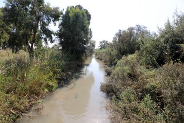 Doğa göllerde Tel Apek İsrail kuzeyde saklıdır. 
