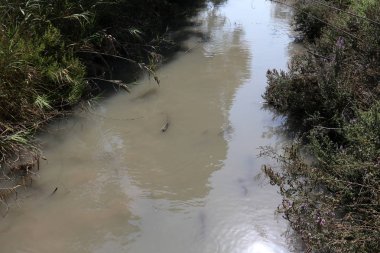 Doğa göllerde Tel Apek İsrail kuzeyde saklıdır. 